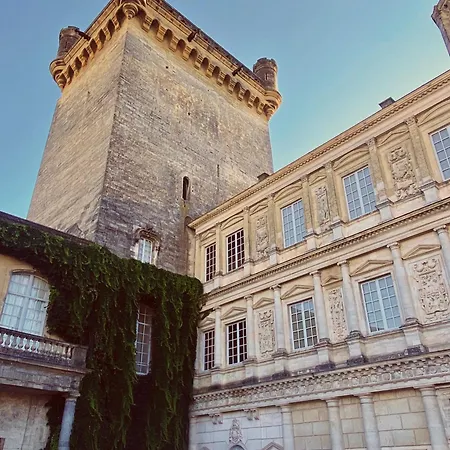 La Maison Du Puisatier • Centre Historique • Piscine Chauffee •jardin *