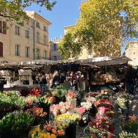La Maison Du Puisatier • Centre Historique • Piscine Chauffee •jardin Σπίτι διακοπών Uzès