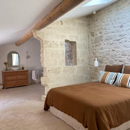La Maison Du Puisatier • Centre Historique • Piscine Chauffee •jardin Holiday home *