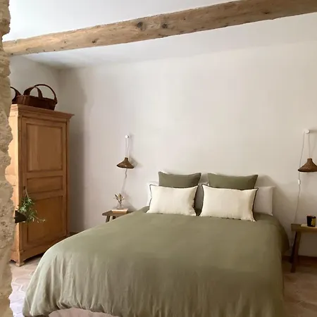 La Maison Du Puisatier • Centre Historique • Piscine Chauffee •jardin *