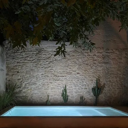 La Maison Du Puisatier • Centre Historique • Piscine Chauffee •jardin *