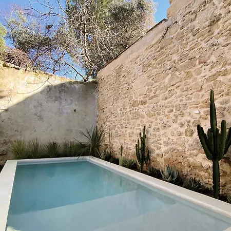 La Maison Du Puisatier • Centre Historique • Piscine Chauffee •jardin Holiday home *