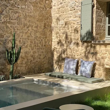 La Maison Du Puisatier • Centre Historique • Piscine Chauffee •jardin Holiday home
