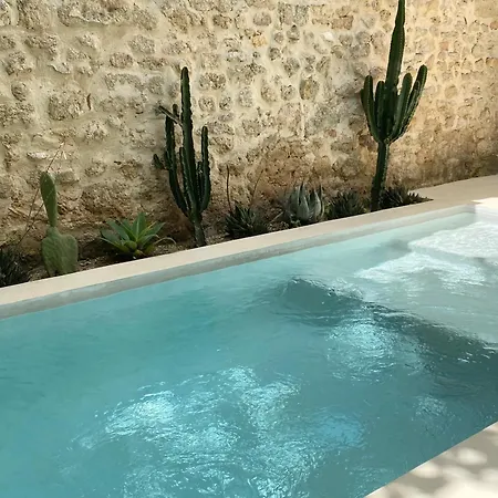 Prázdninový dům La Maison Du Puisatier • Centre Historique • Piscine Chauffee •jardin